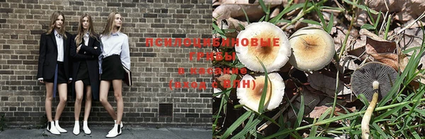 мяу мяу мука Россошь